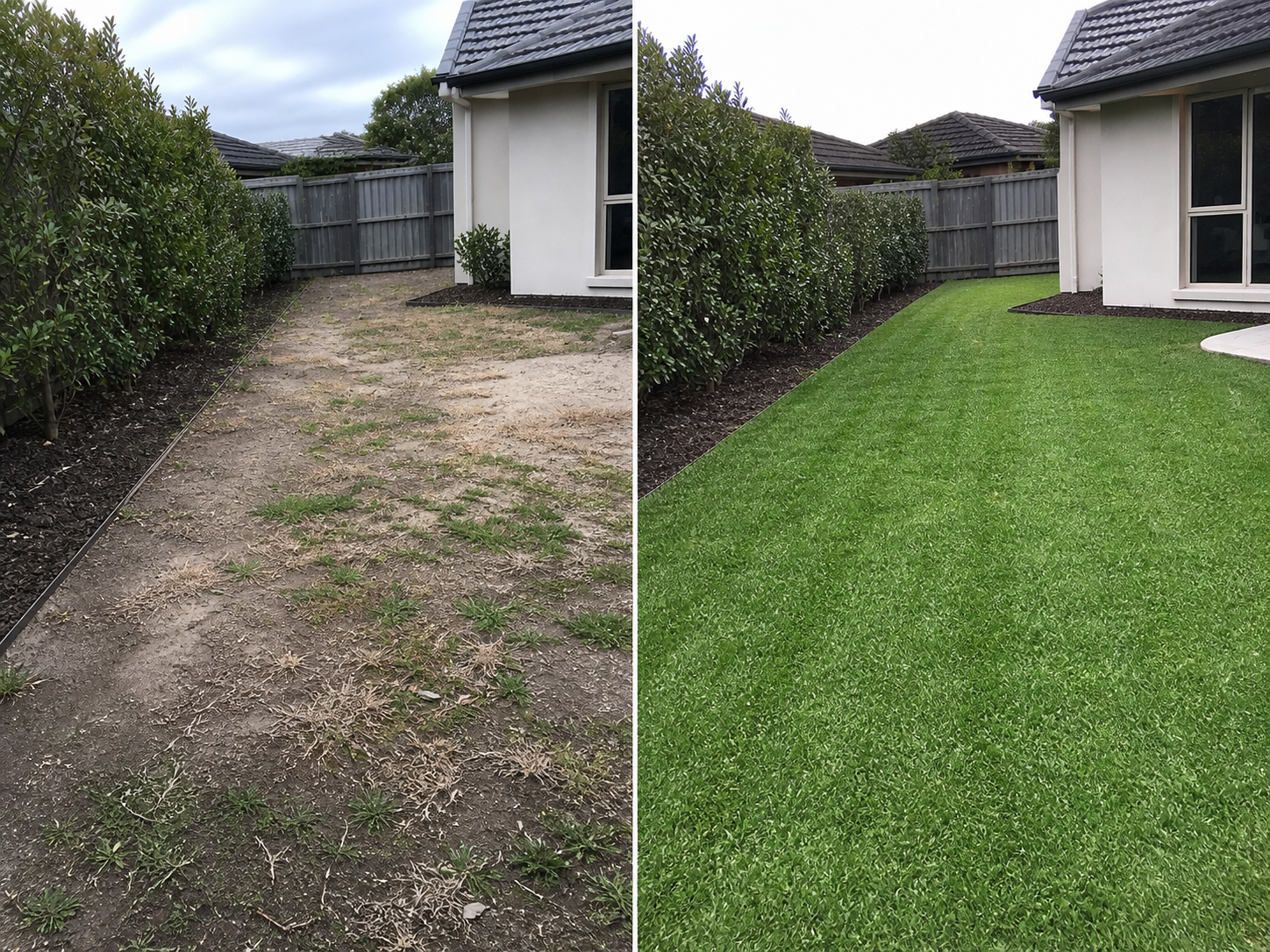 New lawn installation and turfing service Melbourne, freshly laid premium turf by Mow It Up lawn care specialists