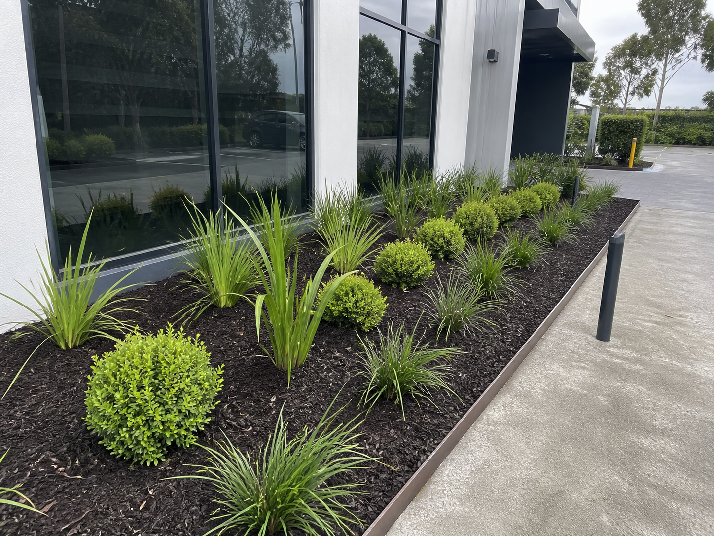 Garden bed creation and native planting service in Melbourne, new beds constructed and planted by Mow It Up
